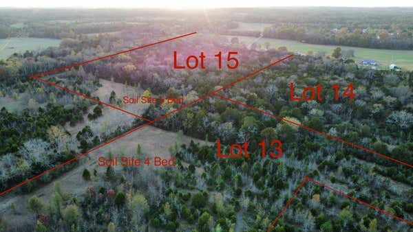 1015 BUZZARD ROOST RD, UNIONVILLE, TN 37180 - Image 1