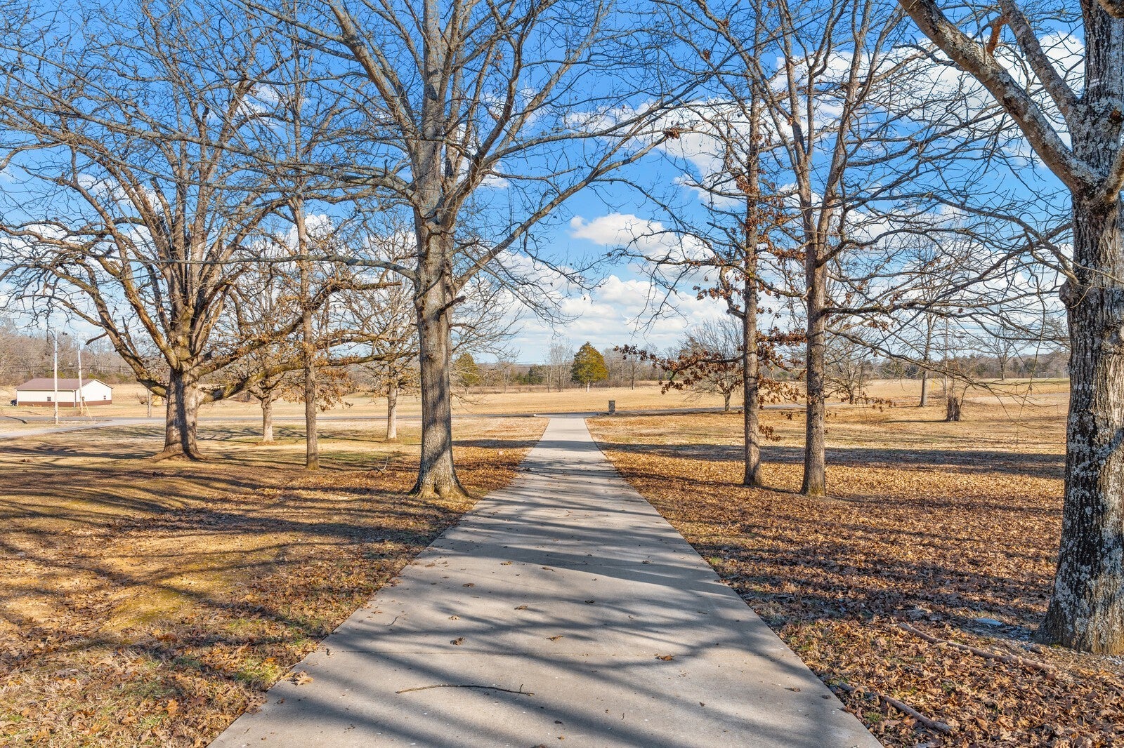 Mount Juliet, Tennessee, 37122, United States, 5 Bedrooms Bedrooms, ,5 BathroomsBathrooms,Residential,Active,1973649