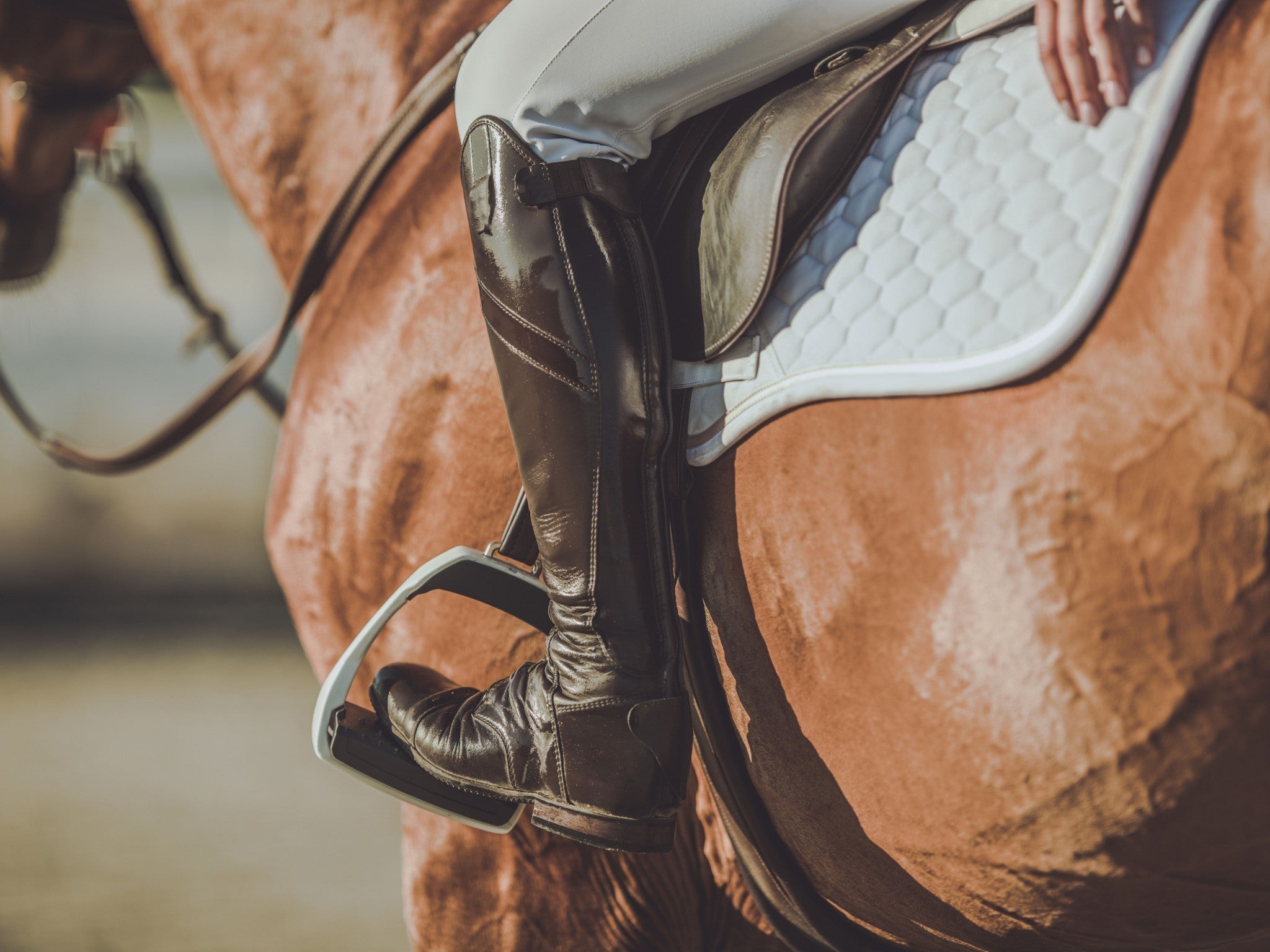 Lebanon, Tennessee, 37090, United States, 3 Bedrooms Bedrooms, ,4 BathroomsBathrooms,Residential,Active,2006888