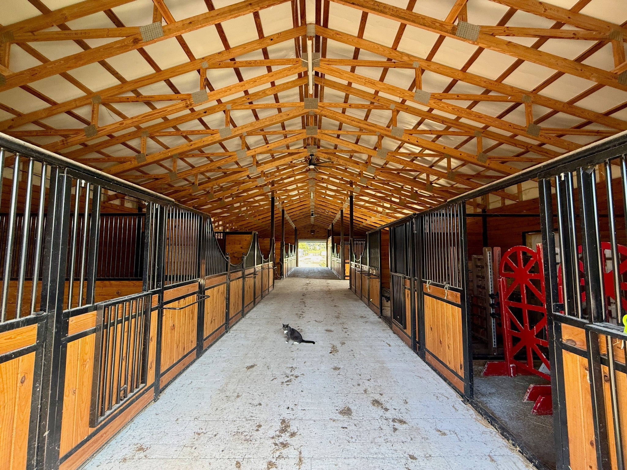 Lebanon, Tennessee, 37090, United States, 3 Bedrooms Bedrooms, ,4 BathroomsBathrooms,Residential,Active,1954332