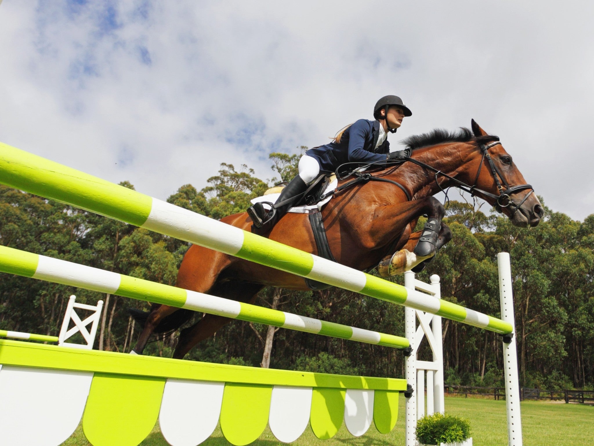 Lebanon, Tennessee, 37090, United States, 3 Bedrooms Bedrooms, ,4 BathroomsBathrooms,Residential,Active,1954332