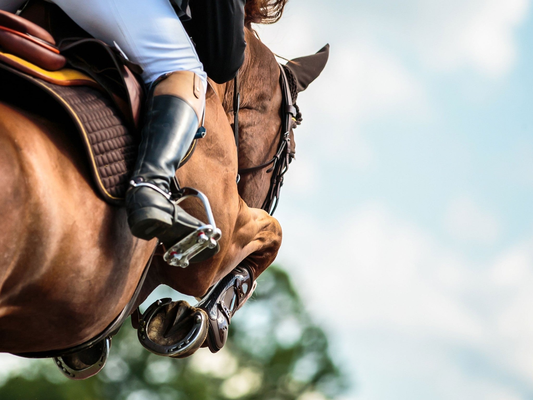 Lebanon, Tennessee, 37090, United States, 3 Bedrooms Bedrooms, ,4 BathroomsBathrooms,Residential,Active,1954332