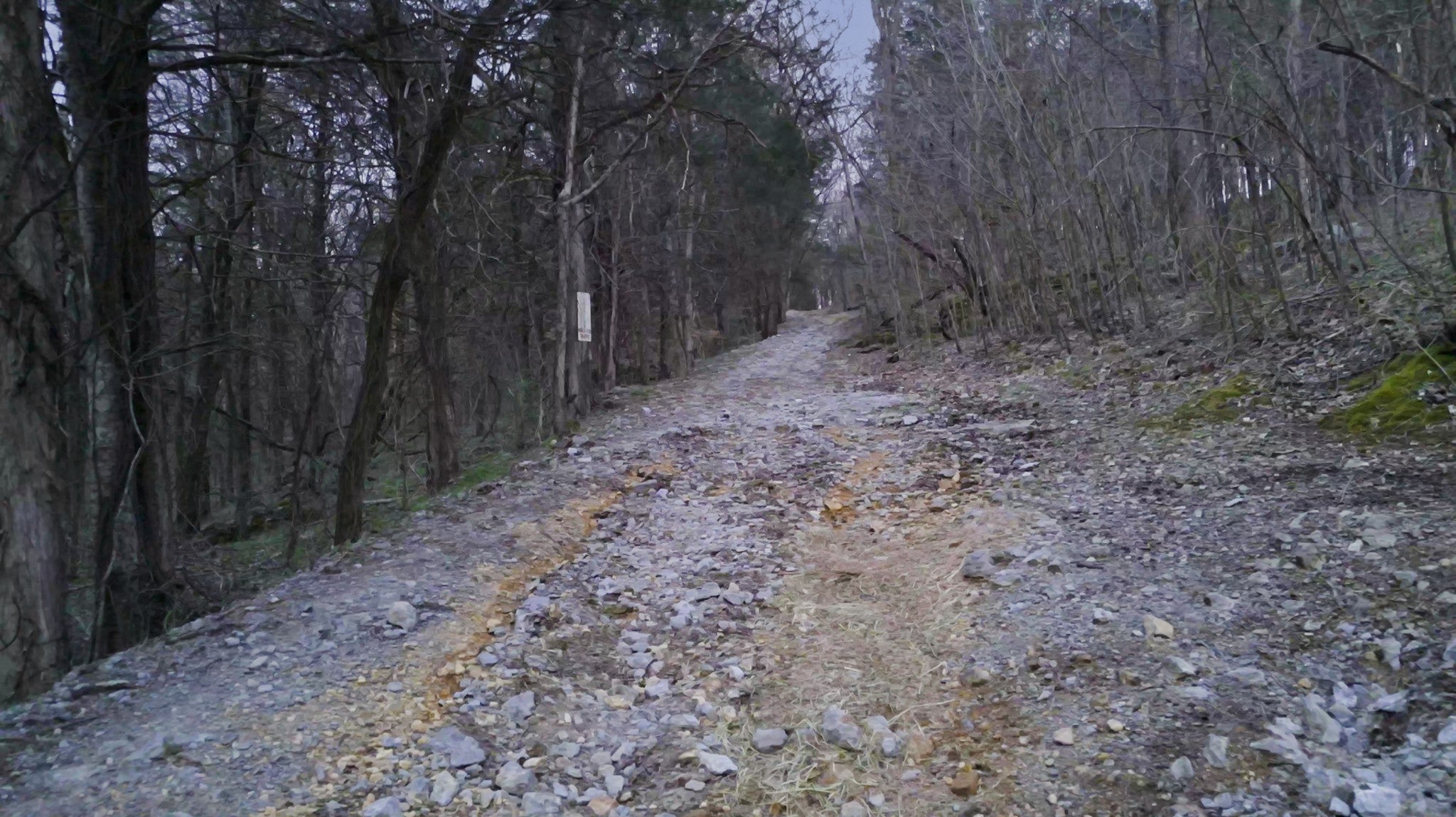 Dowelltown, Tennessee, 37059, United States, 4 Bedrooms Bedrooms, ,2 BathroomsBathrooms,Residential,Active,1745626