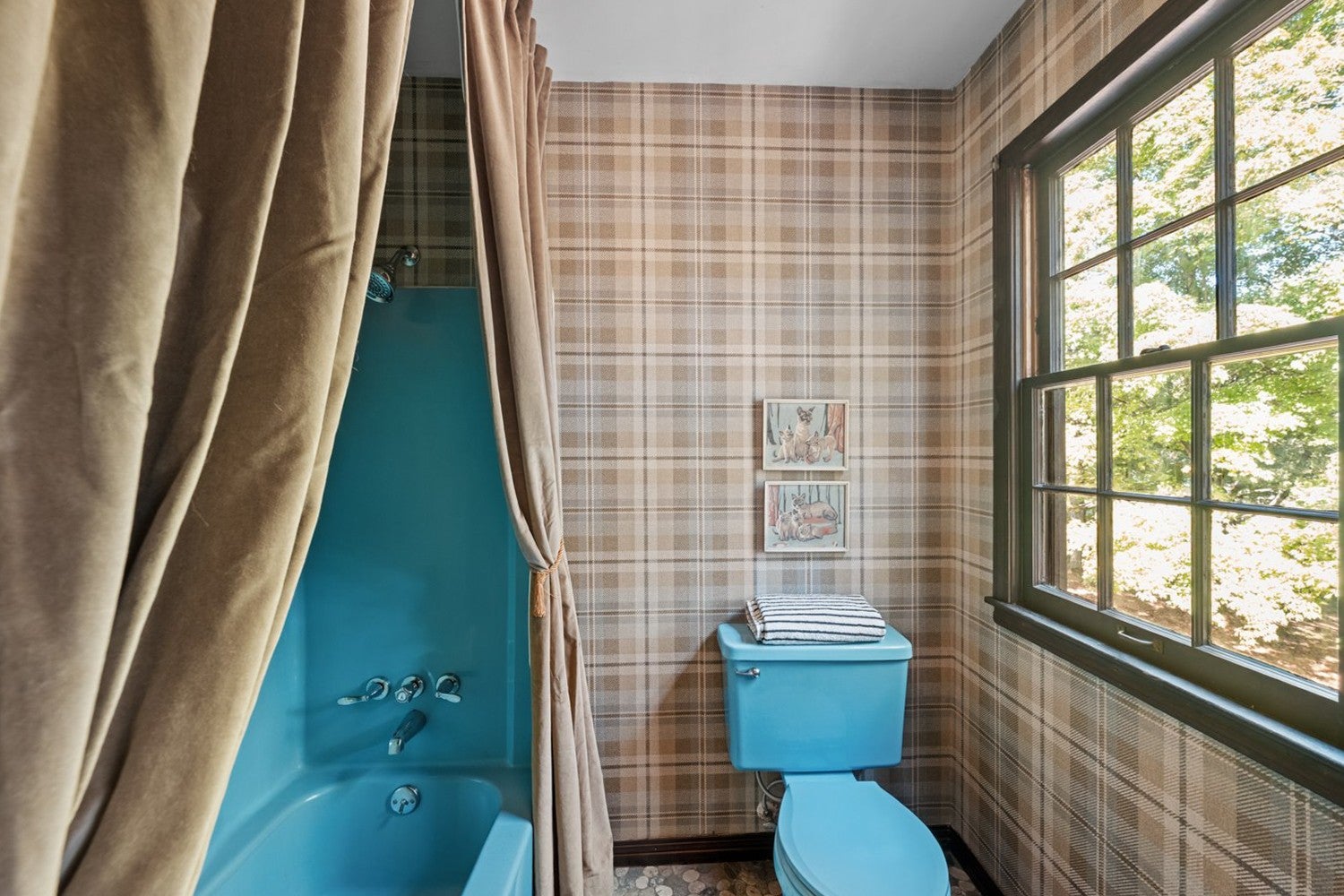 Columbia, Tennessee, 38401, United States, 4 Bedrooms Bedrooms, ,3 BathroomsBathrooms,Residential,Active,1963382