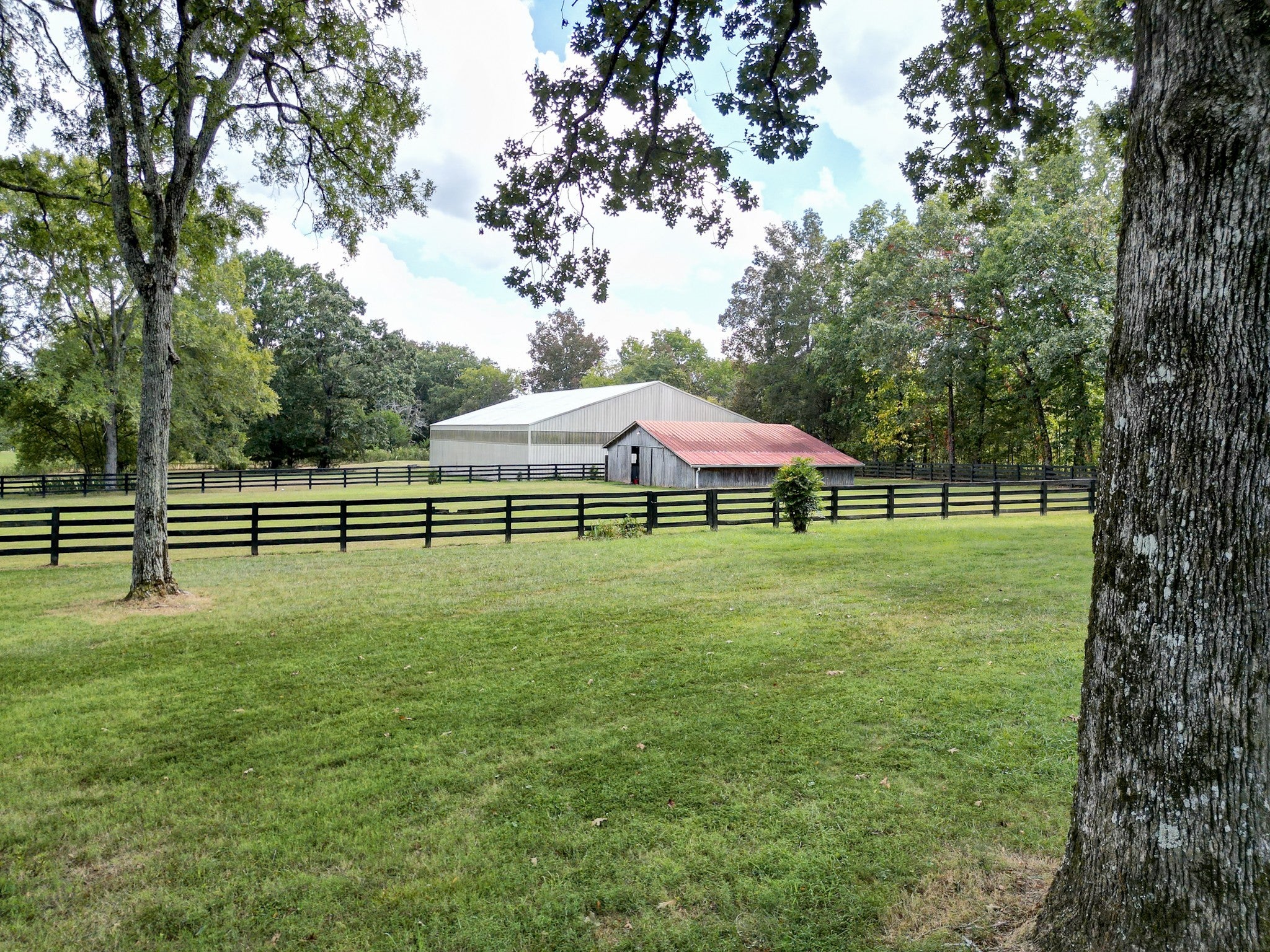 Columbia, Tennessee, 38401, United States, 3 Bedrooms Bedrooms, ,3 BathroomsBathrooms,Residential,Active,1936631