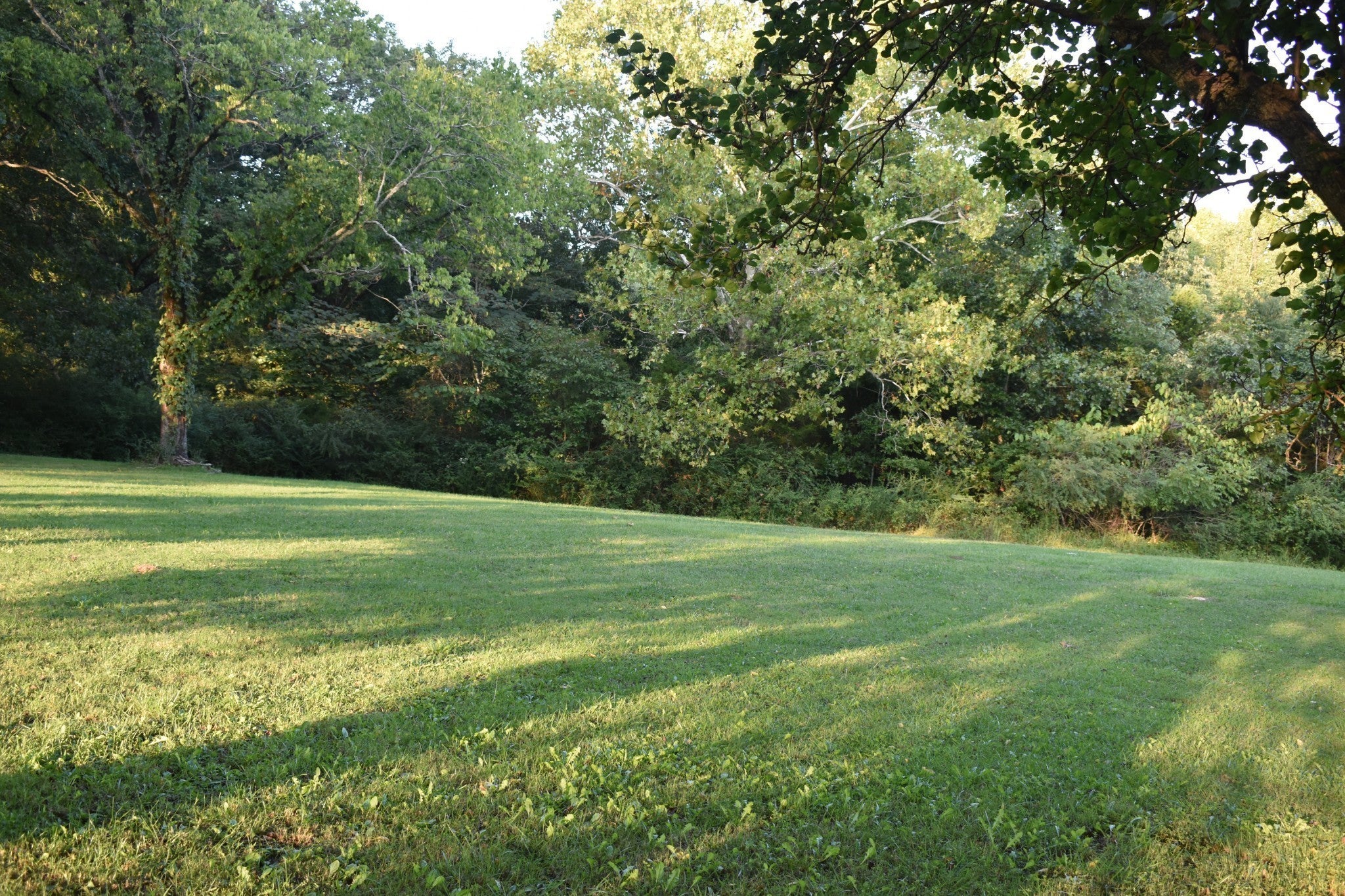 Columbia, Tennessee, 38401, United States, 3 Bedrooms Bedrooms, ,2 BathroomsBathrooms,Residential,Active,1920269