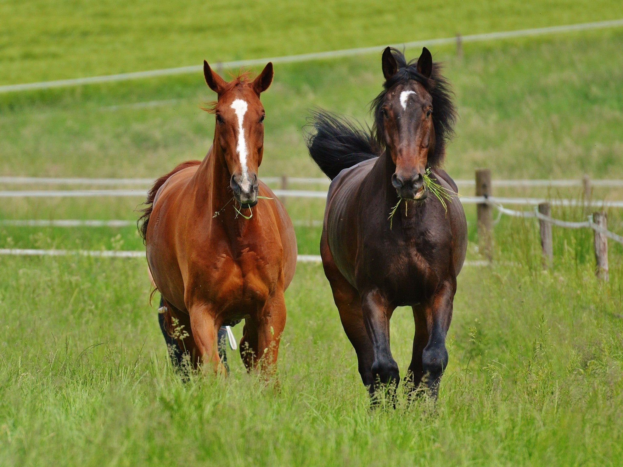 Lebanon, Tennessee, 37090, United States, 3 Bedrooms Bedrooms, ,4 BathroomsBathrooms,Residential,Active,2006888