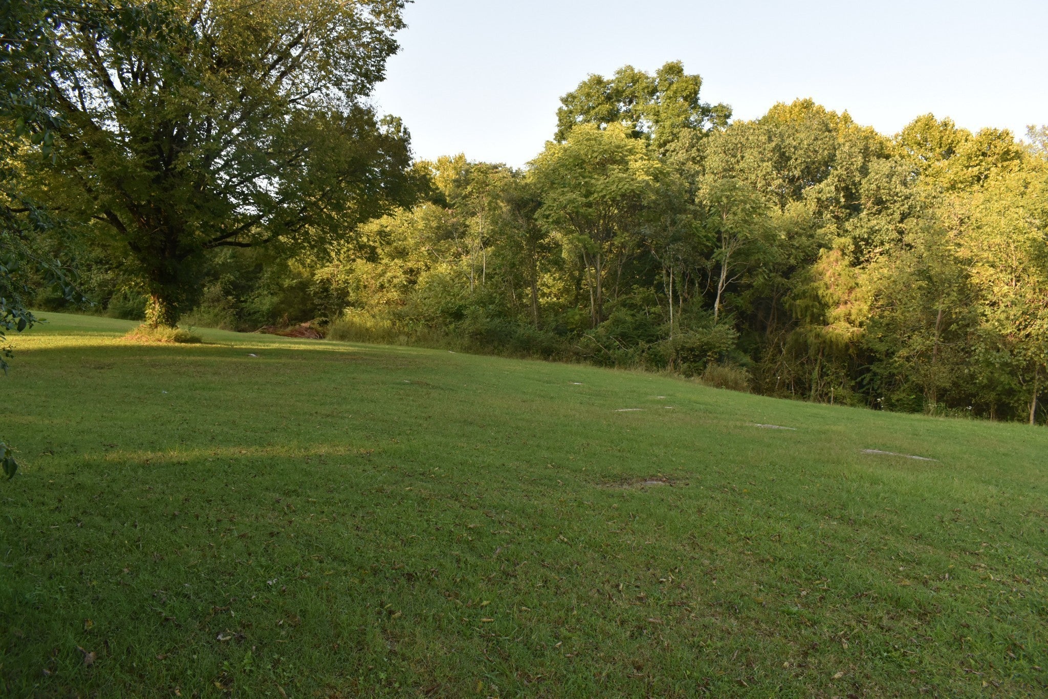 Columbia, Tennessee, 38401, United States, 3 Bedrooms Bedrooms, ,2 BathroomsBathrooms,Residential,Active,1920269