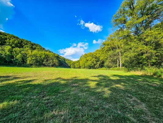 0 STRAIGHT CREEK RD, WARTRACE, TN 37183 - Image 1