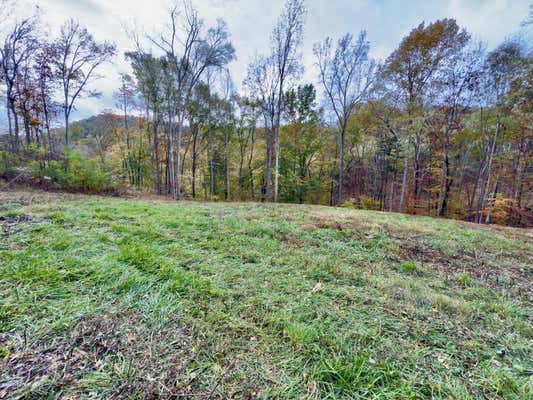 0 HARDSCRABBLE LN, WOODBURY, TN 37190 - Image 1