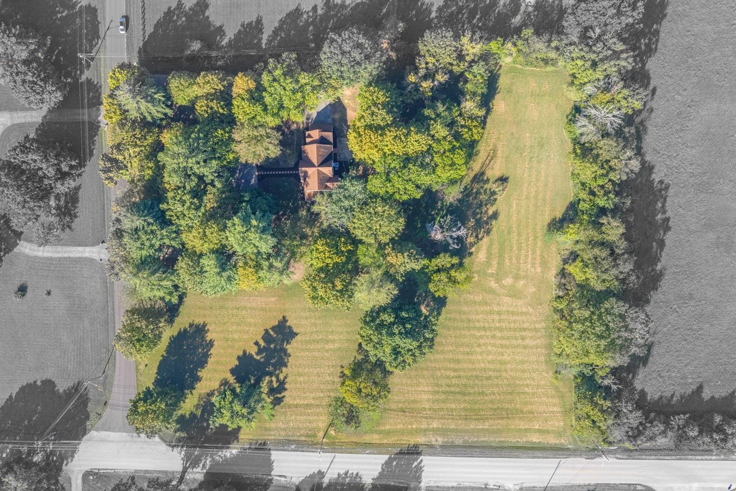 Columbia, Tennessee, 38401, United States, 4 Bedrooms Bedrooms, ,3 BathroomsBathrooms,Residential,Active,2007952