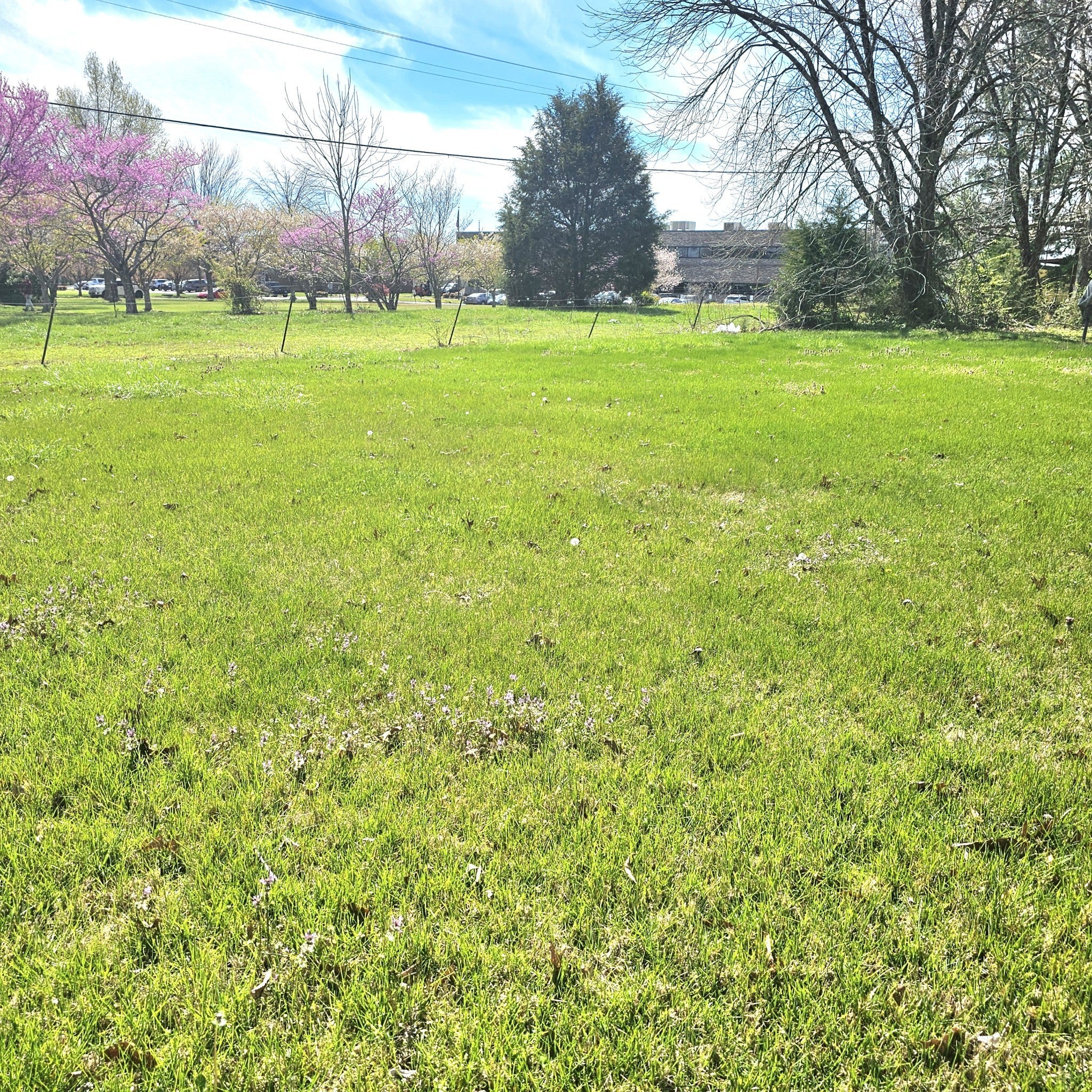 Smithville, Tennessee, 37166, United States, ,2 BathroomsBathrooms,Residential,Active,1834319