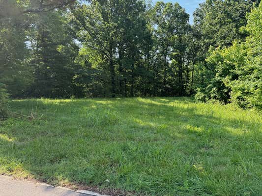 0 MOCKINGBIRD HILL RD, PALMYRA, TN 37142 - Image 1