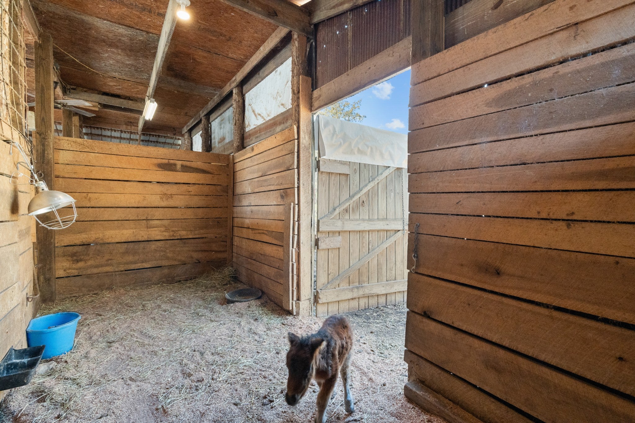 Dowelltown, Tennessee, 37059, United States, 4 Bedrooms Bedrooms, ,2 BathroomsBathrooms,Residential,Active,1745626