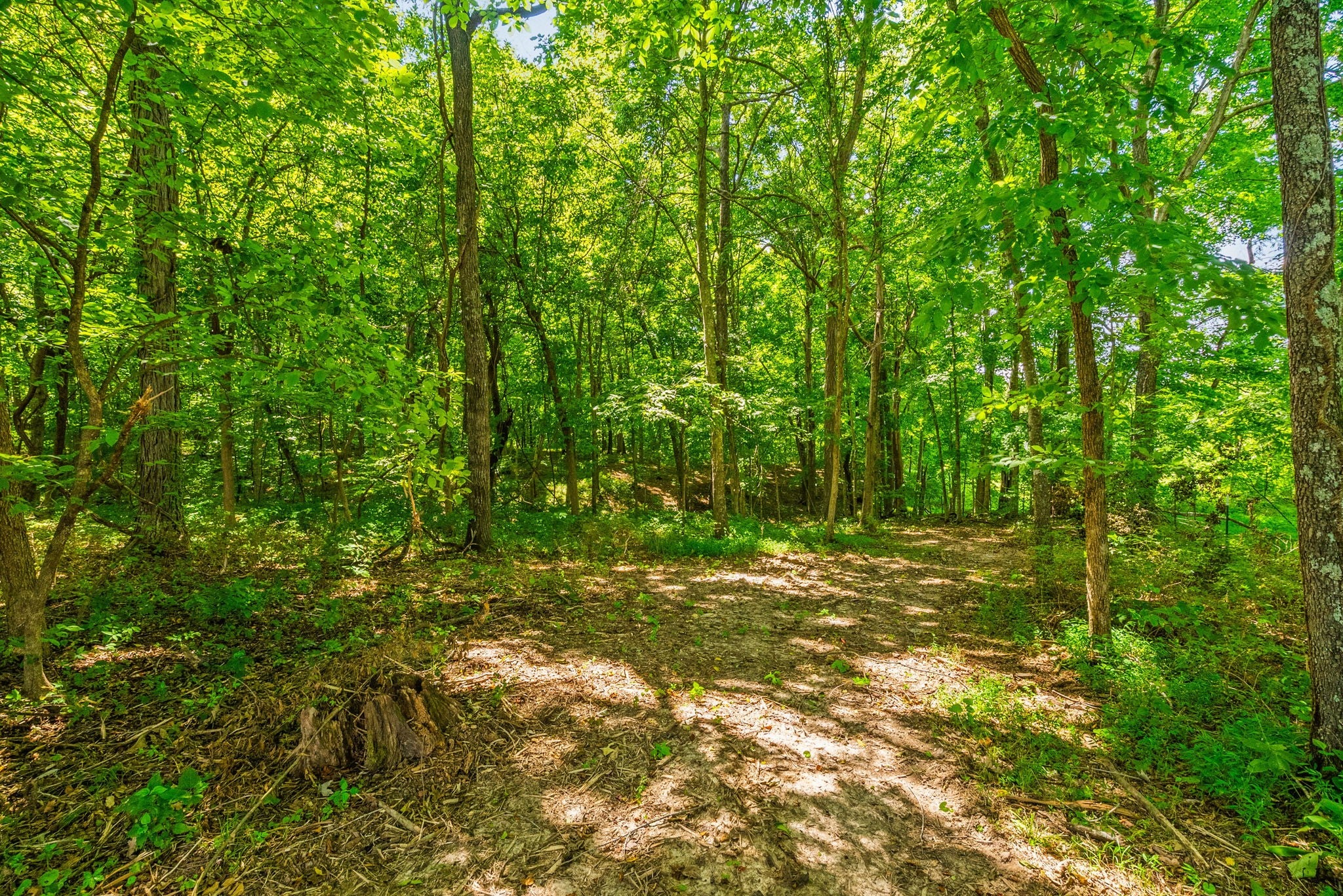 Cross Plains, Tennessee, 37049, United States, 5 Bedrooms Bedrooms, ,6 BathroomsBathrooms,Residential,Active,1919379