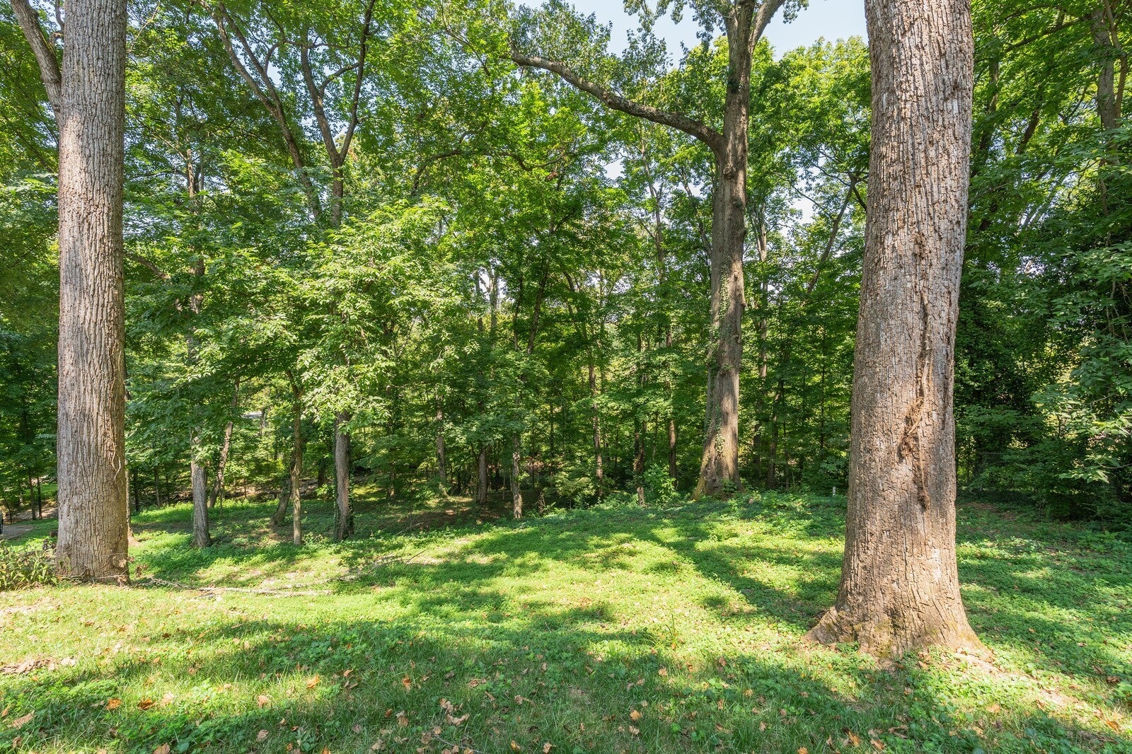 Brentwood, Tennessee, 37027, United States, 3 Bedrooms Bedrooms, ,3 BathroomsBathrooms,Residential,Active,1967284