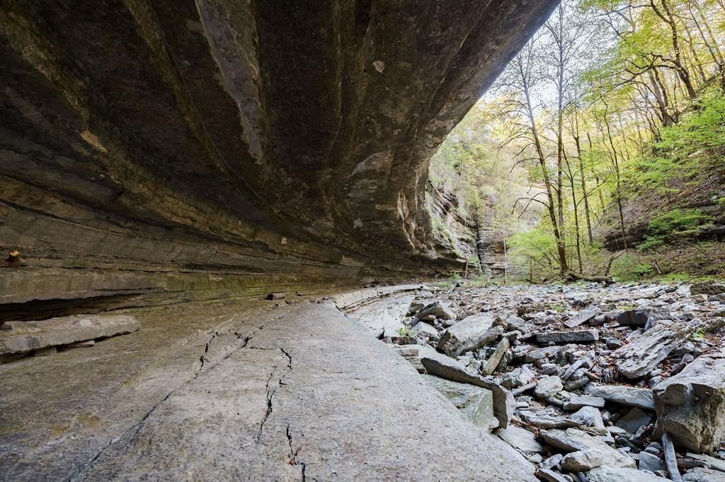 Smithville, Tennessee, 37166, United States, ,7 BathroomsBathrooms,Residential,Active,1769789