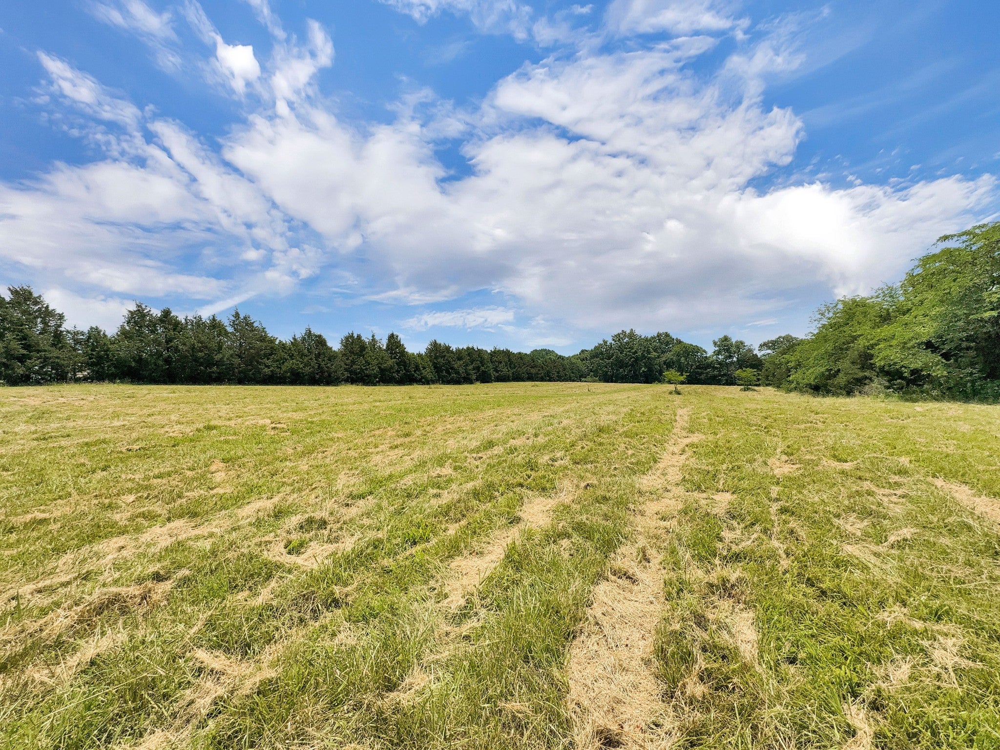 Lebanon, Tennessee, 37090, United States, ,3 BathroomsBathrooms,Residential,Active,1863498