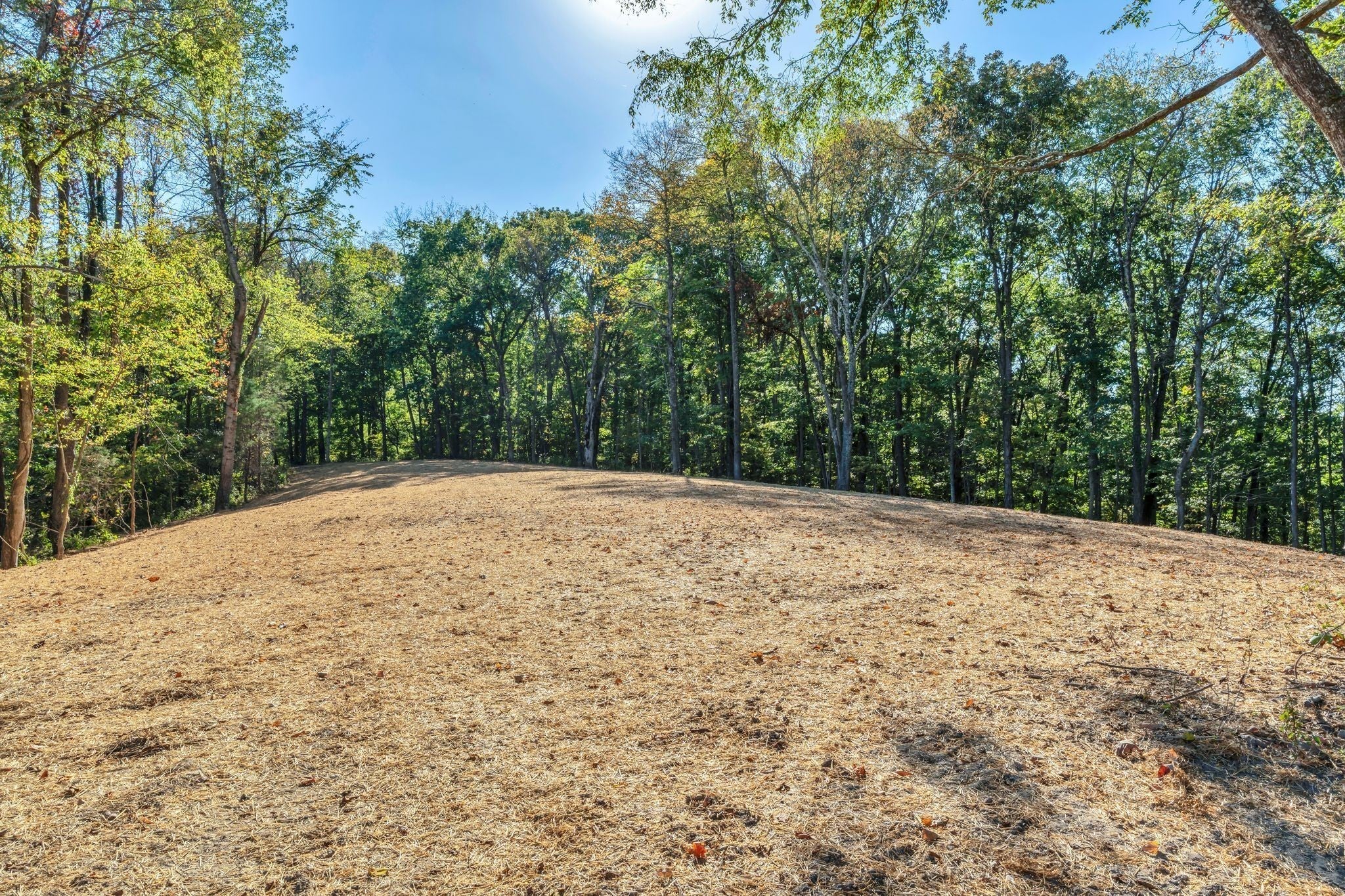 Hendersonville, Tennessee, 37075, United States, 4 Bedrooms Bedrooms, ,4 BathroomsBathrooms,Residential,Active,2011440