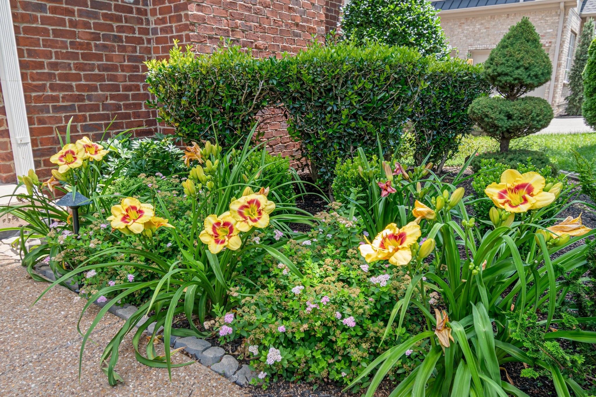 Brentwood, Tennessee, 37027, United States, 5 Bedrooms Bedrooms, ,6 BathroomsBathrooms,Residential,Active,1985582