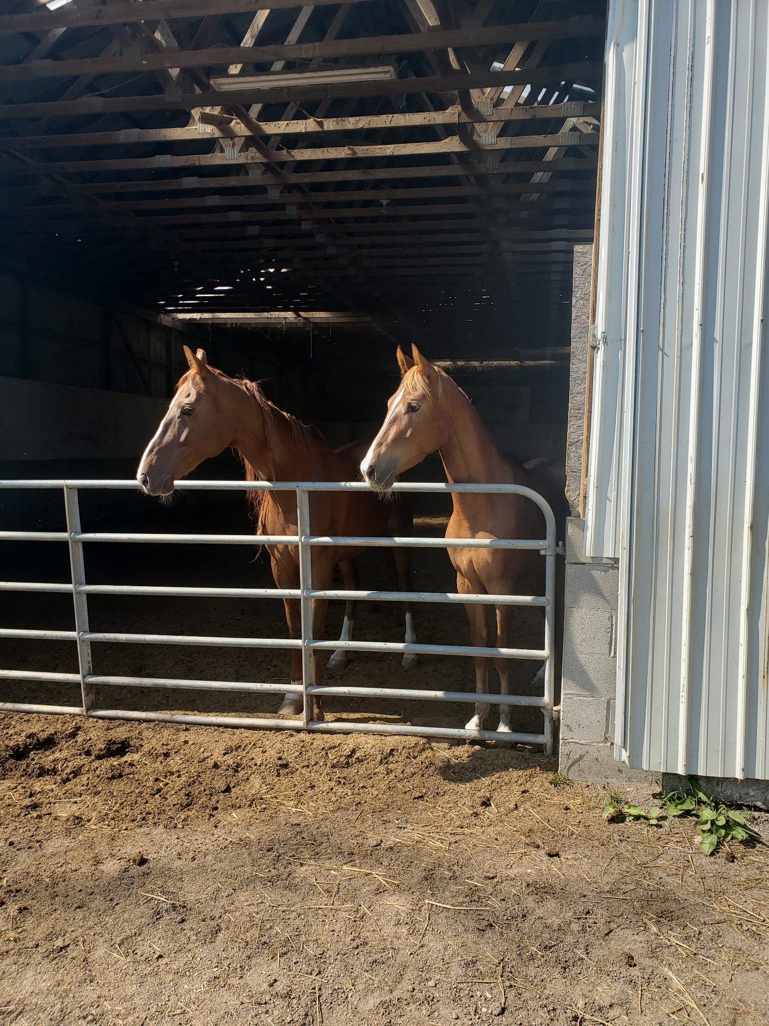 Dowelltown, Tennessee, 37059, United States, 4 Bedrooms Bedrooms, ,2 BathroomsBathrooms,Residential,Active,1745626