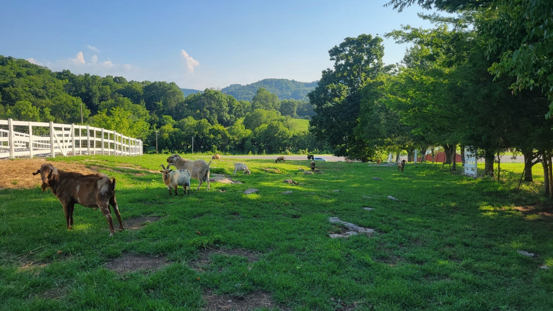 Dowelltown, Tennessee, 37059, United States, 4 Bedrooms Bedrooms, ,2 BathroomsBathrooms,Residential,Active,1745626