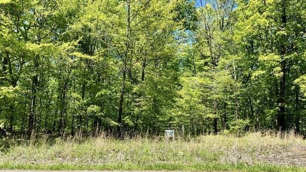 0 MT PLEASANT RD, KINGSTON SPRINGS, TN 37082, photo 4 of 17