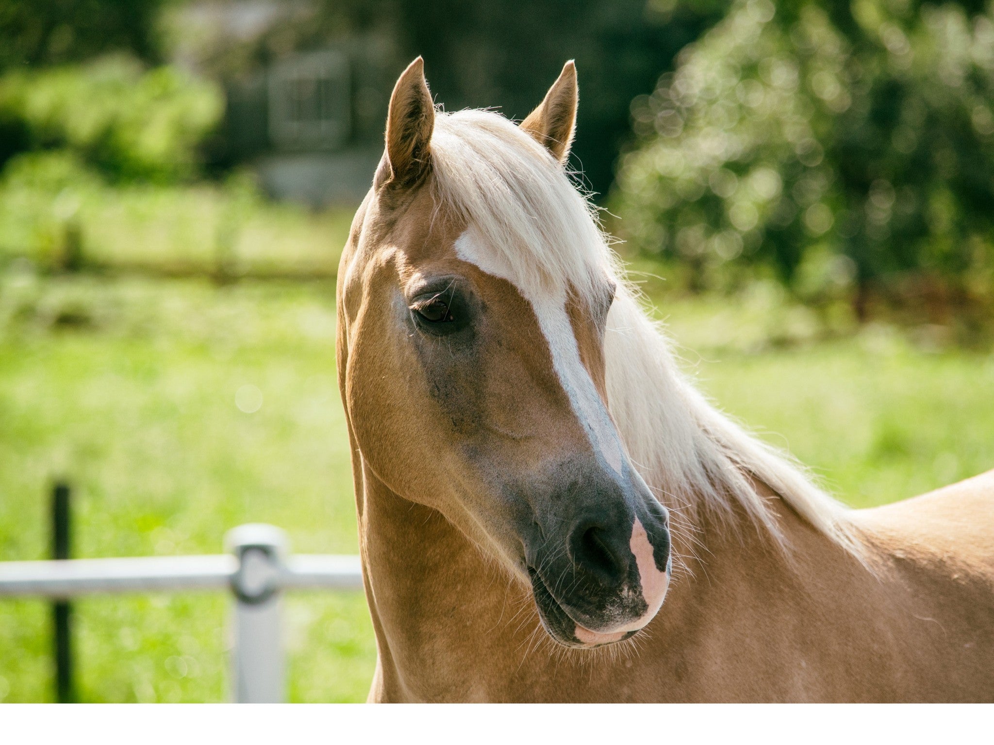 Lebanon, Tennessee, 37090, United States, 3 Bedrooms Bedrooms, ,4 BathroomsBathrooms,Residential,Active,1954332