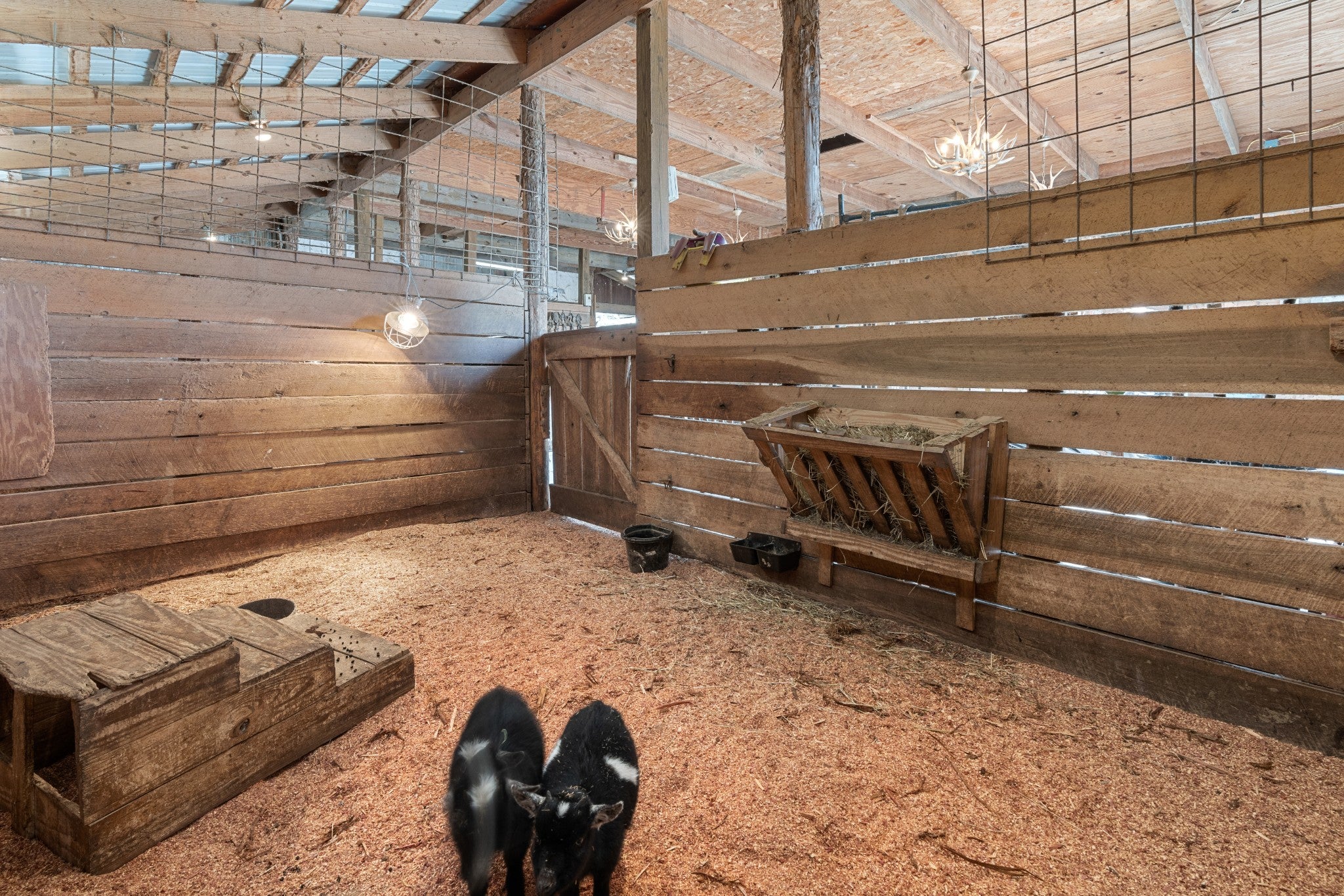 Dowelltown, Tennessee, 37059, United States, 4 Bedrooms Bedrooms, ,2 BathroomsBathrooms,Residential,Active,1745626