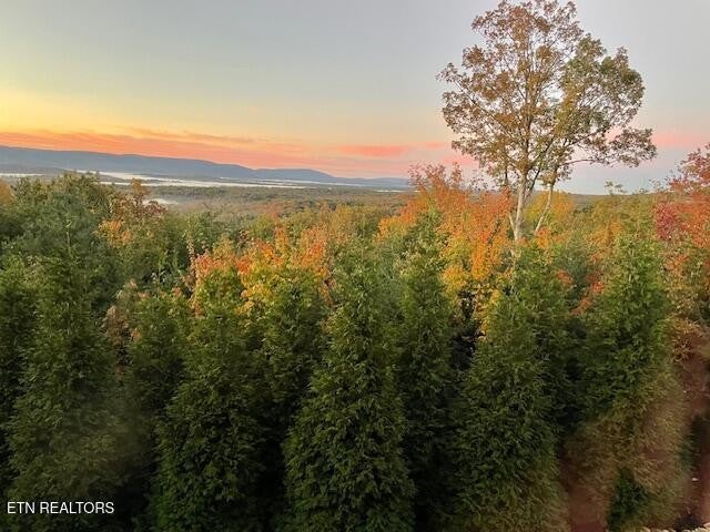 Crossville, Tennessee, 38558, United States, 4 Bedrooms Bedrooms, ,4 BathroomsBathrooms,Residential,Active,2011427