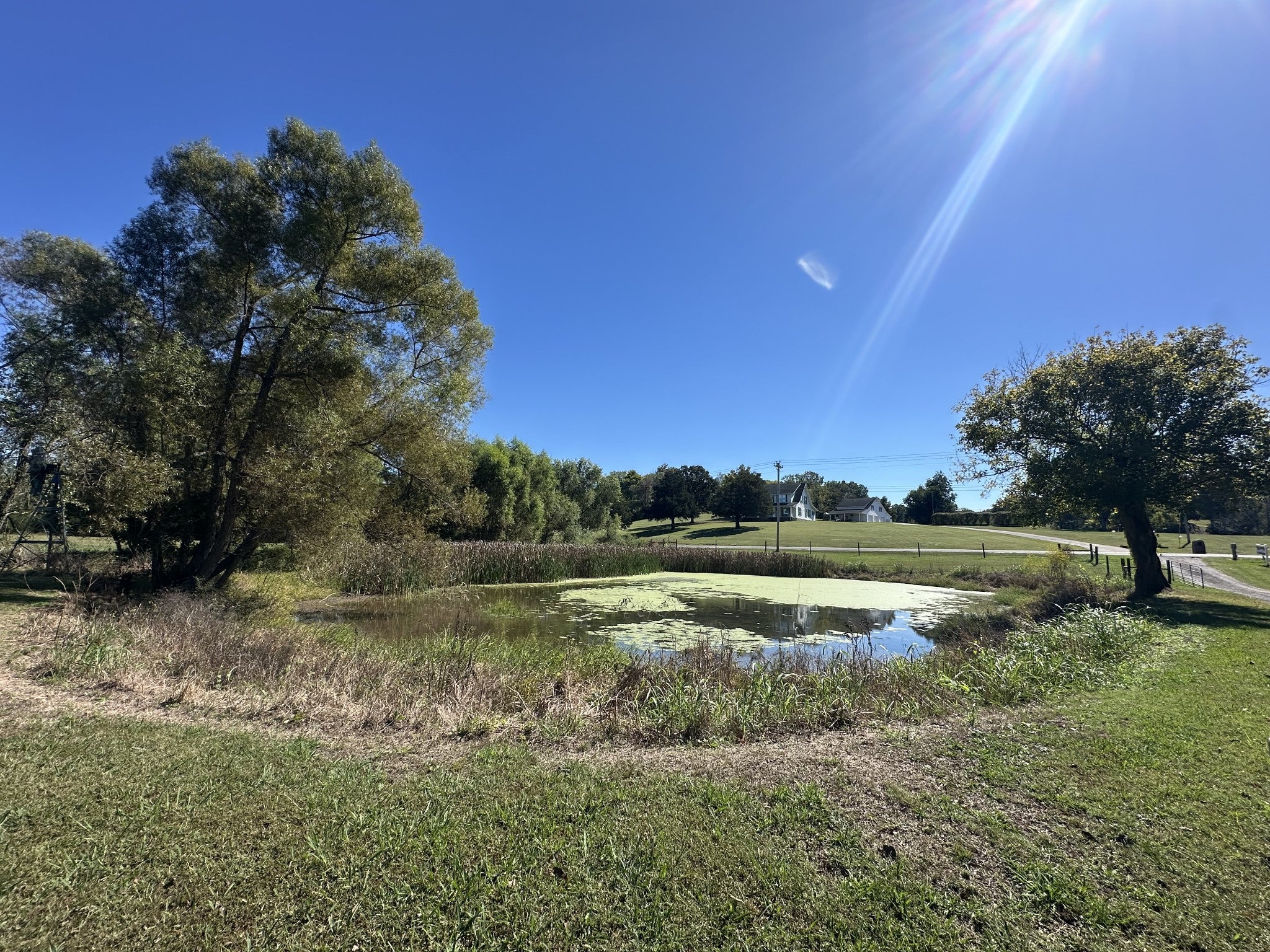 Mount Juliet, Tennessee, 37122, United States, 3 Bedrooms Bedrooms, ,3 BathroomsBathrooms,Residential,Active,1945349