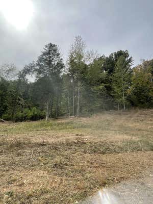 0 KIZER RIDGE ROAD, ERIN, TN 37061 - Image 1