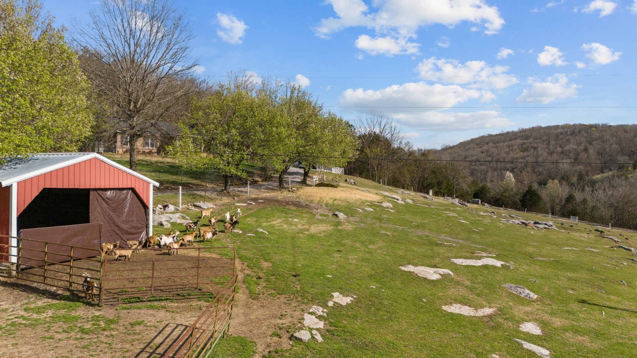 Dowelltown, Tennessee, 37059, United States, 4 Bedrooms Bedrooms, ,2 BathroomsBathrooms,Residential,Active,1745626