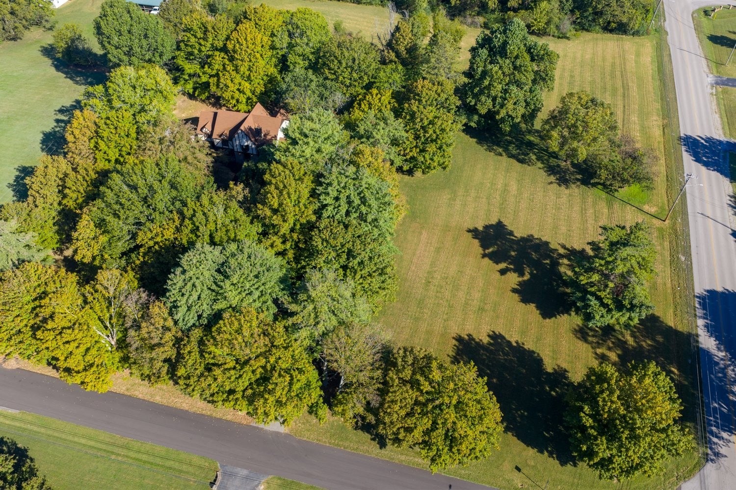 Columbia, Tennessee, 38401, United States, 4 Bedrooms Bedrooms, ,3 BathroomsBathrooms,Residential,Active,2007952