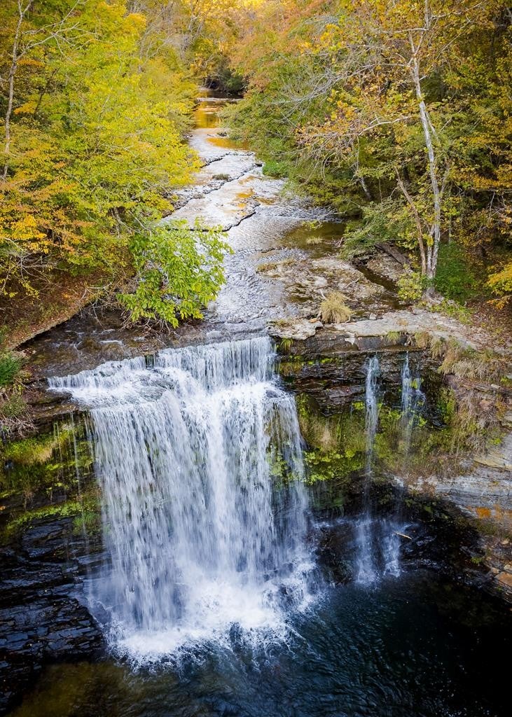 Smithville, Tennessee, 37166, United States, ,7 BathroomsBathrooms,Residential,Active,1769789