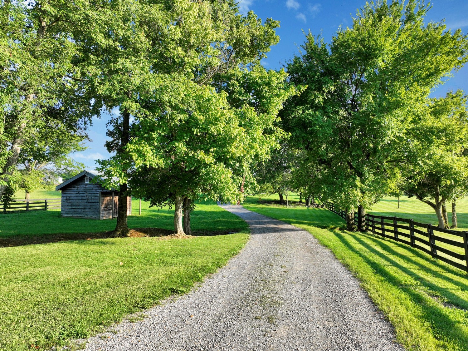 Cross Plains, Tennessee, 37049, United States, 4 Bedrooms Bedrooms, ,3 BathroomsBathrooms,Residential,Active,1929704