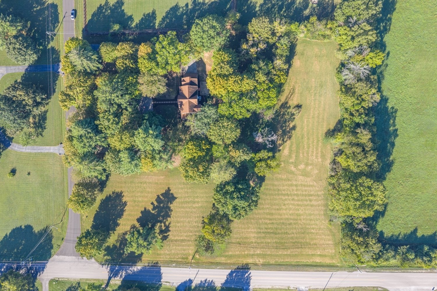 Columbia, Tennessee, 38401, United States, 4 Bedrooms Bedrooms, ,3 BathroomsBathrooms,Residential,Active,2007952