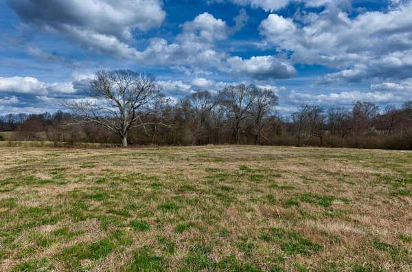 0 COUNTY ROAD 656, ANDERSON, AL 35610 - Image 1