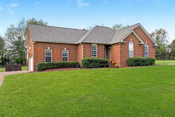 313 CHERRY LN, WHITE HOUSE, TN 37188 - Image 1