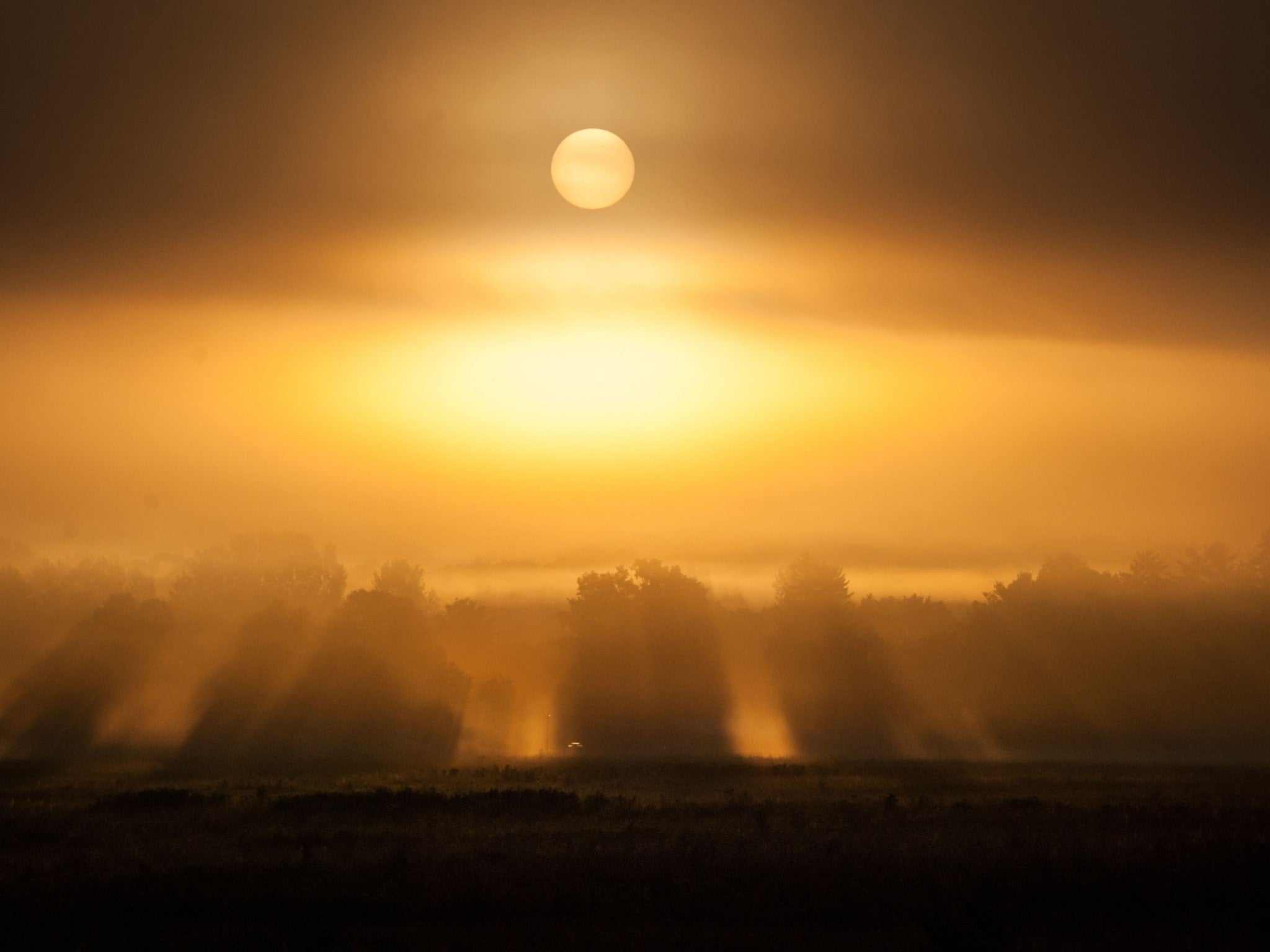 Lebanon, Tennessee, 37090, United States, ,3 BathroomsBathrooms,Residential,Active,1863498