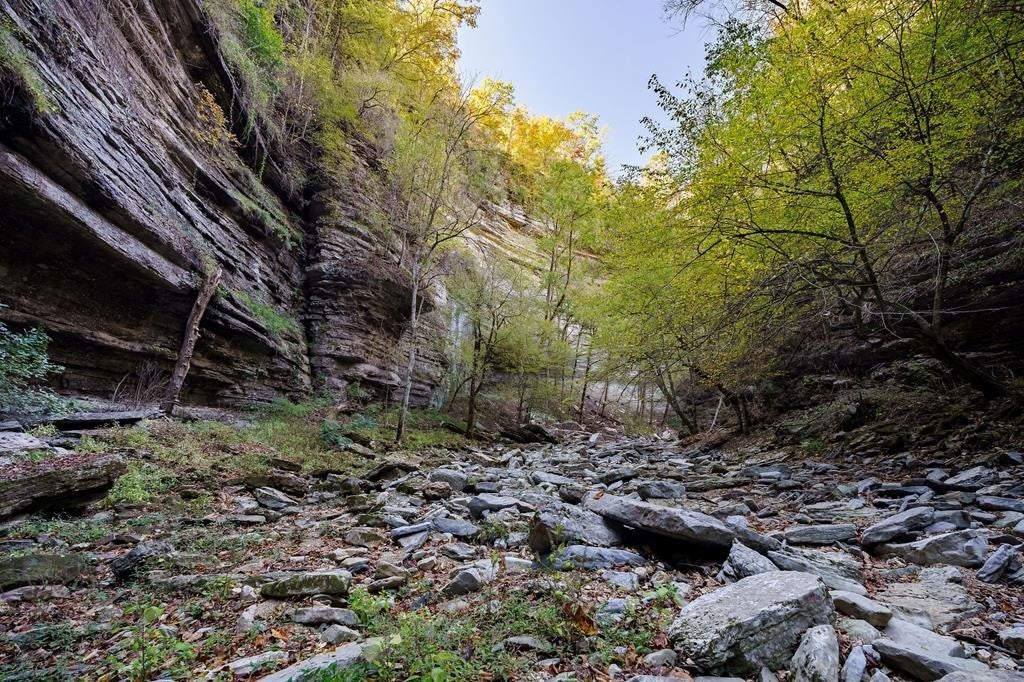 Smithville, Tennessee, 37166, United States, ,7 BathroomsBathrooms,Residential,Active,1769789