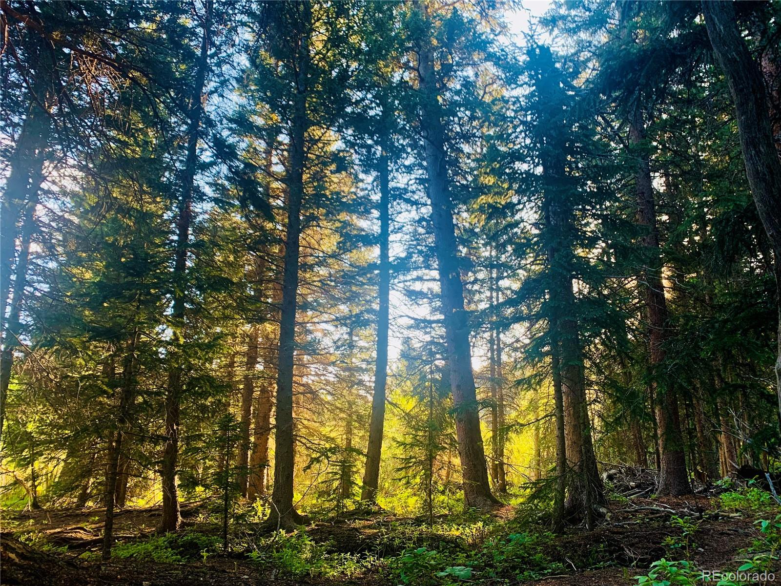 Black Hawk, Colorado, 80422, United States, 3 Bedrooms Bedrooms, ,3 BathroomsBathrooms,Residential,Active,2011039