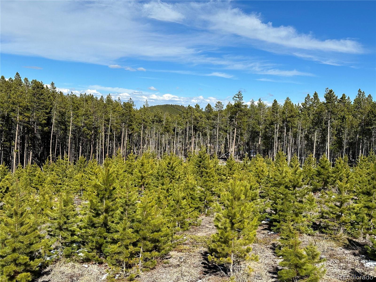 Black Hawk, Colorado, 80422, United States, 3 Bedrooms Bedrooms, ,1 BathroomBathrooms,Residential,Active,1945263