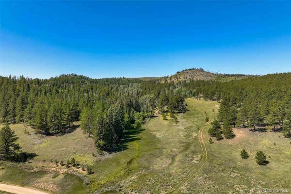 11068 TRAIL CREEK ROAD, DIVIDE, CO 80814 - Image 1