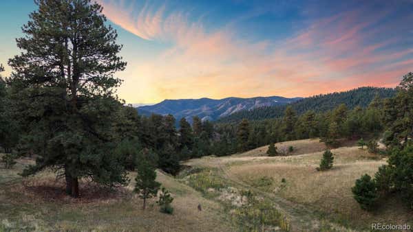 LOT 4 AND 5 S GRAPEVINE ROAD, GOLDEN, CO 80401 - Image 1