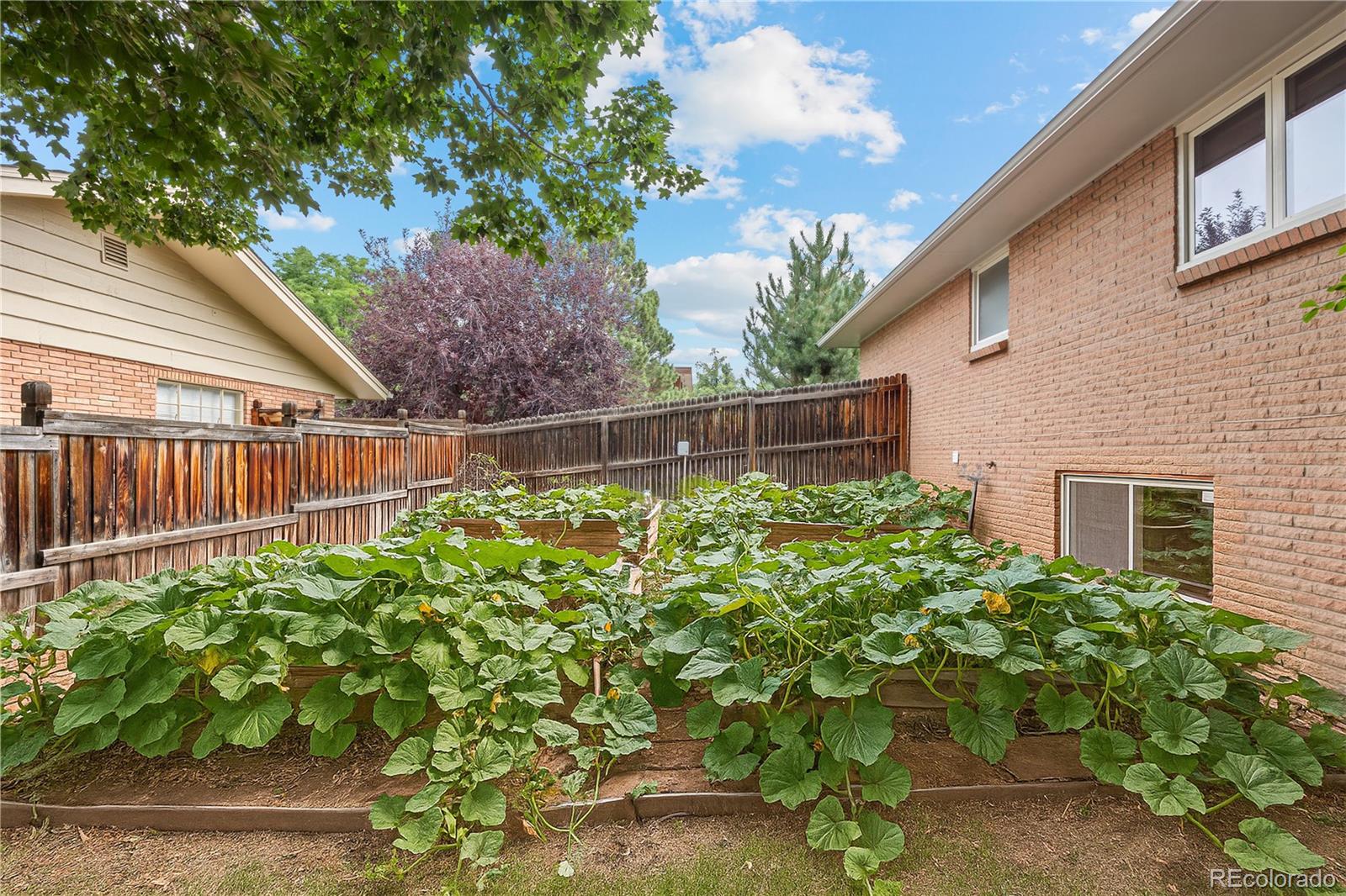 Englewood, Colorado, 80111, United States, 4 Bedrooms Bedrooms, ,3 BathroomsBathrooms,Residential,Active,1909660