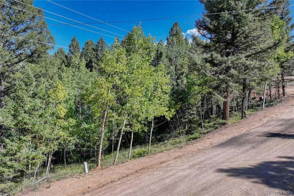 282 PINON LAKE DR, DIVIDE, CO 80814 - Image 1