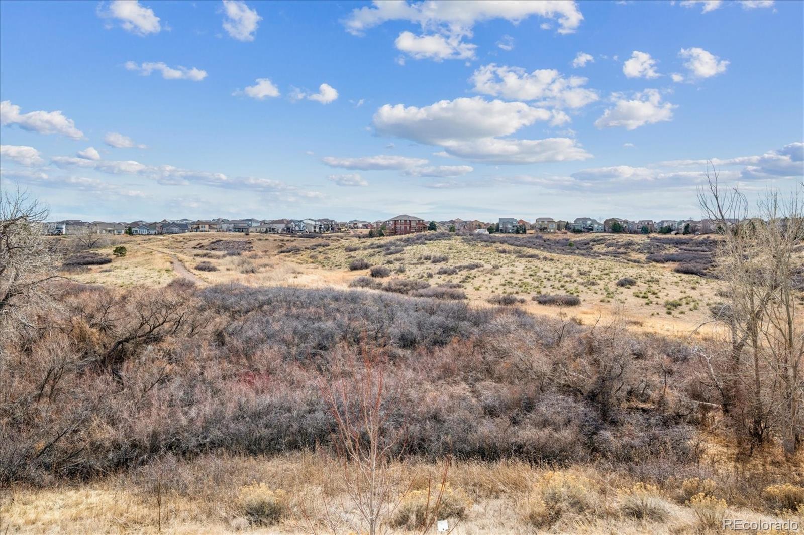 Parker, Colorado, 80138, United States, 5 Bedrooms Bedrooms, ,7 BathroomsBathrooms,Residential,Contingent,2045618