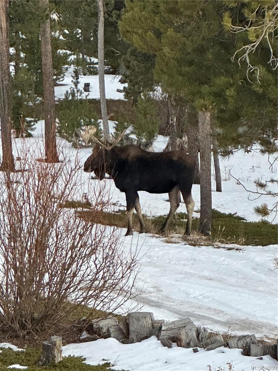 Black Hawk, Colorado, 80422, United States, 3 Bedrooms Bedrooms, ,1 BathroomBathrooms,Residential,Active,1945263