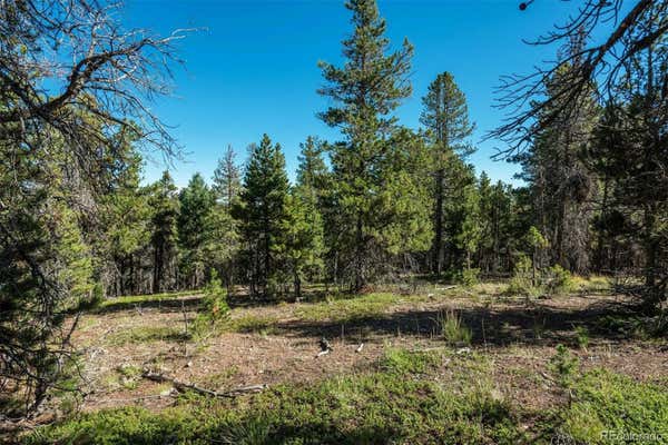 9182 GRAY LN, CONIFER, CO 80433 - Image 1